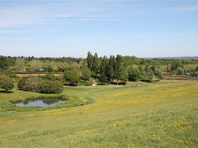 Picture 11